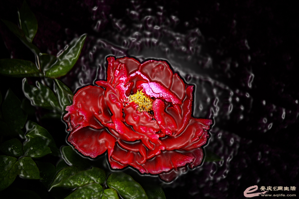 IMG_8602slbz.jpg