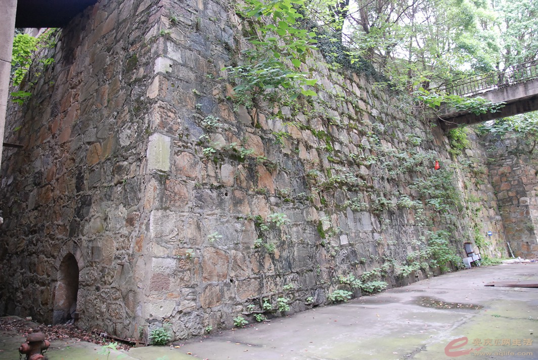DSC_2966.jpg