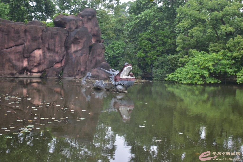 DSC_0255.JPG
