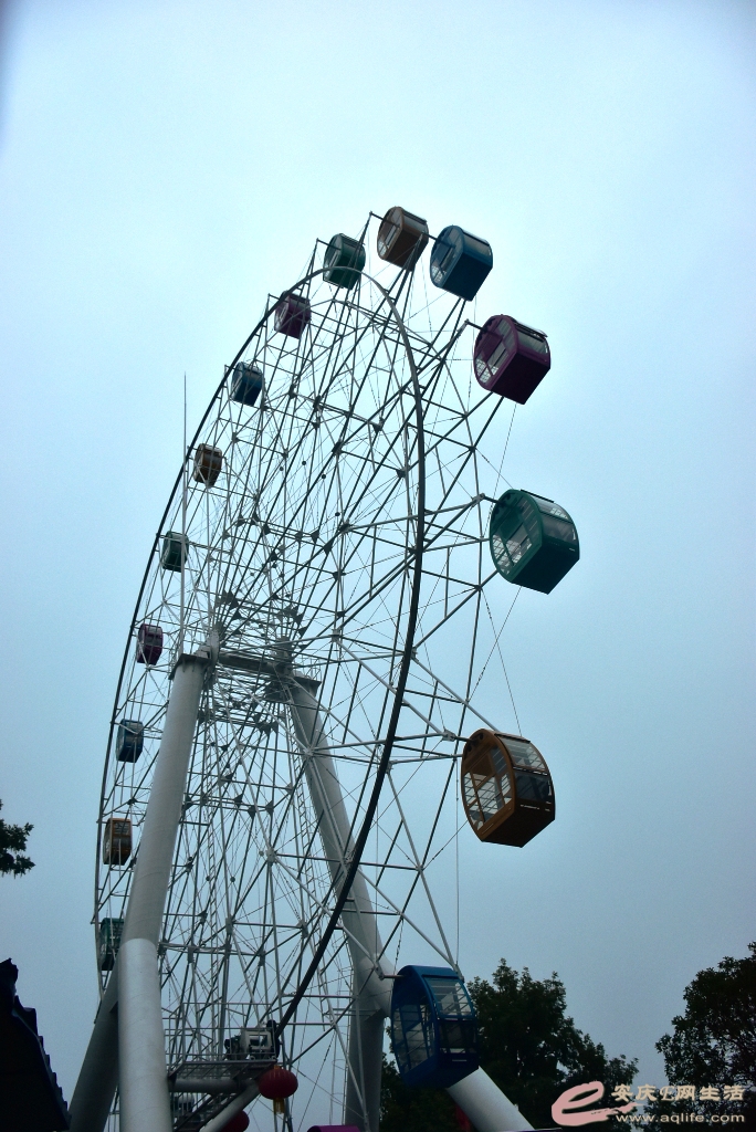 DSC_0268.JPG