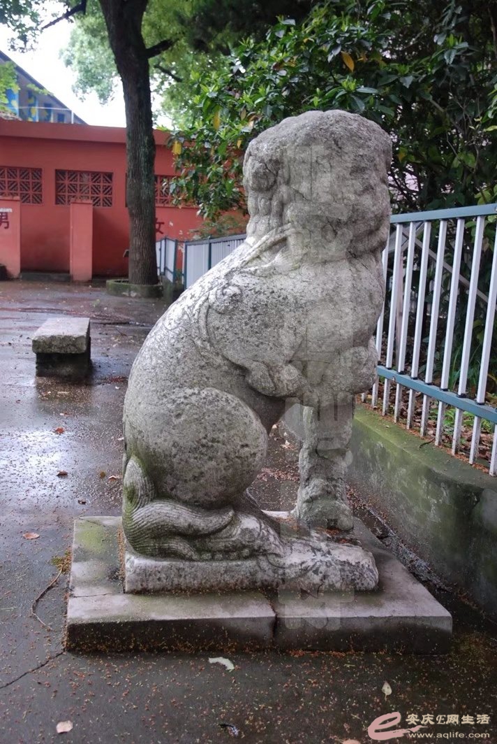 psc1.jpg