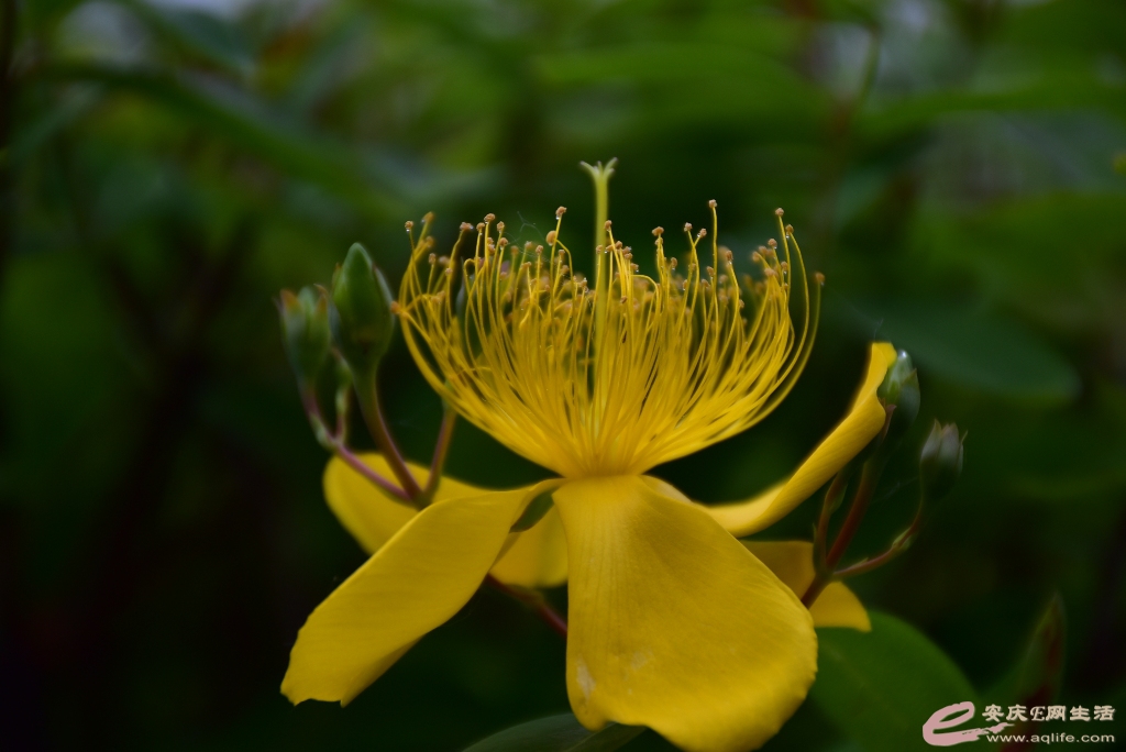 DSC_0482.JPG