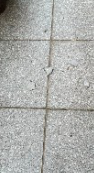 e0052bb5844616019b8bb5d7738342a.png