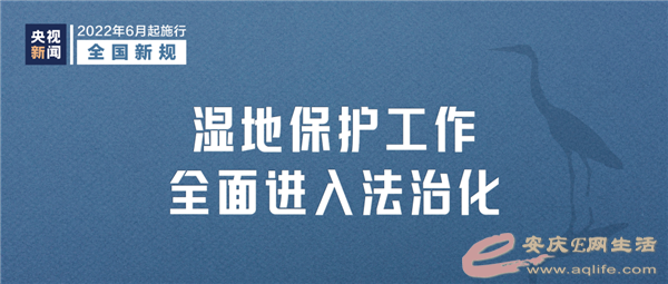 640 (3).png