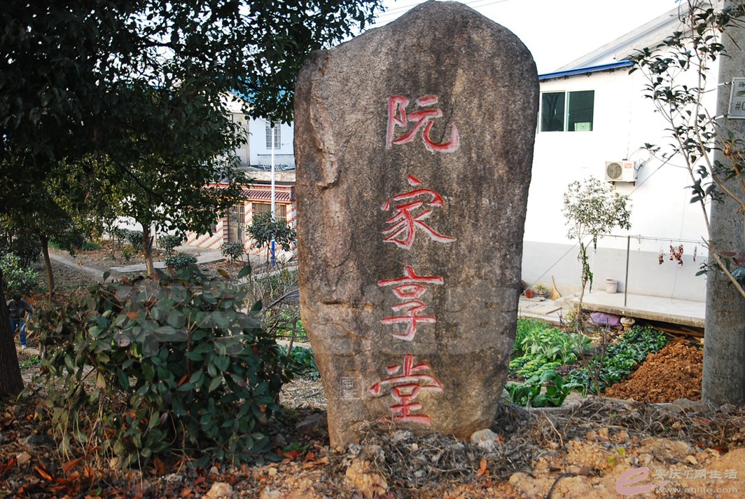 DSC_1379.jpg