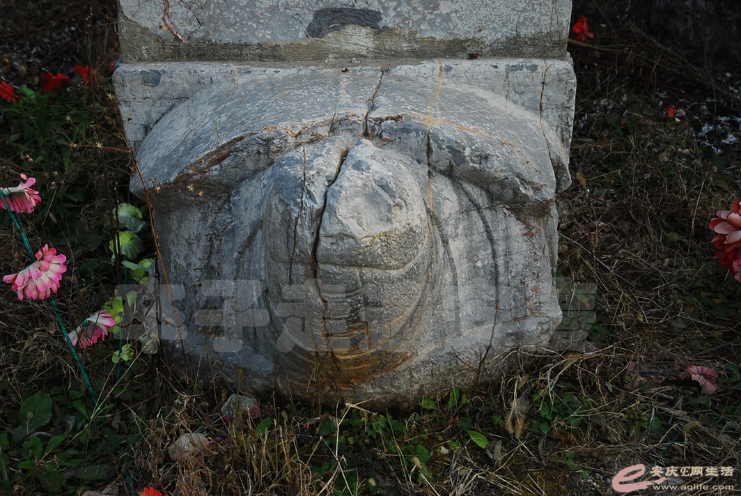 DSC_1385.jpg