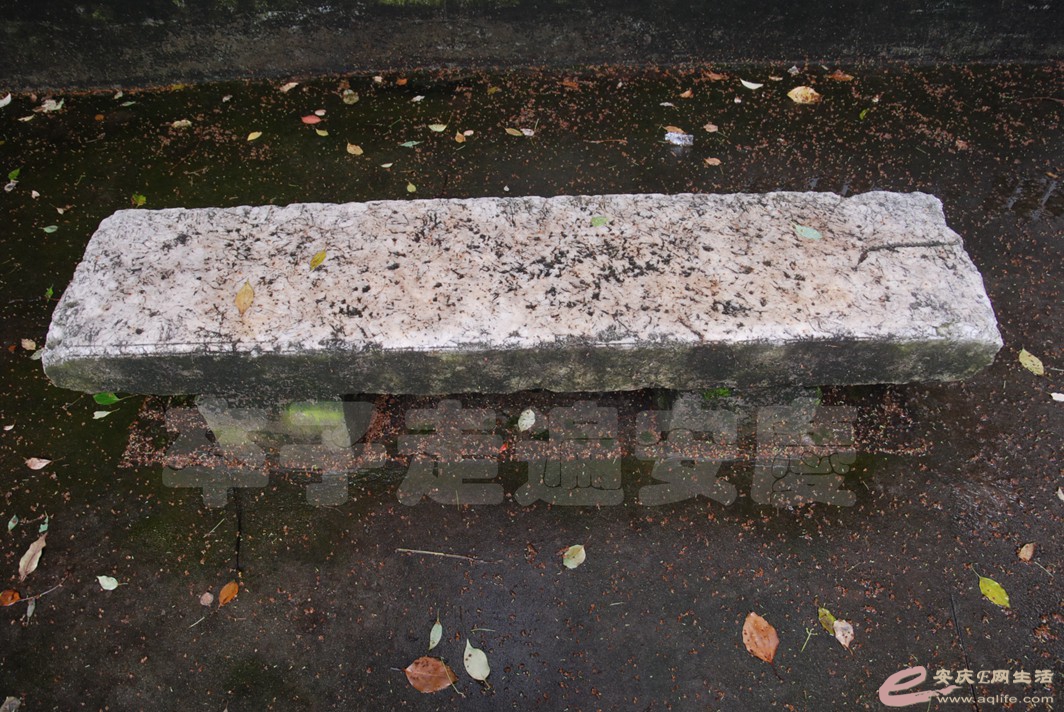 DSC_3940.jpg