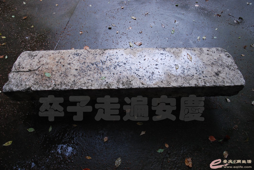 DSC_3942.jpg