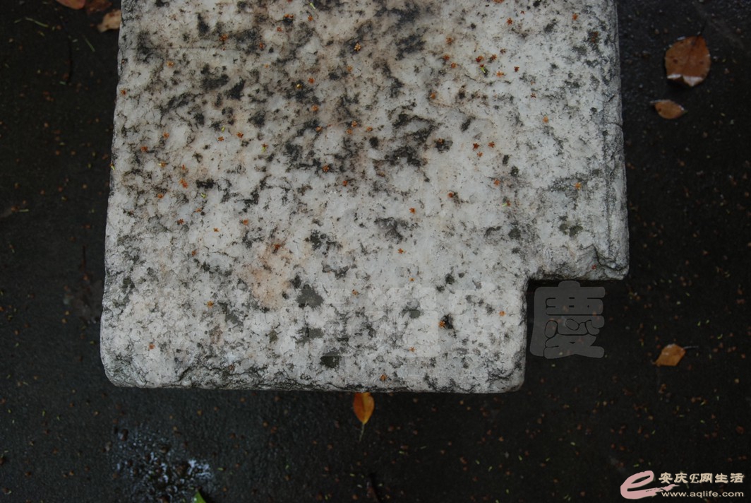 DSC_3957.jpg
