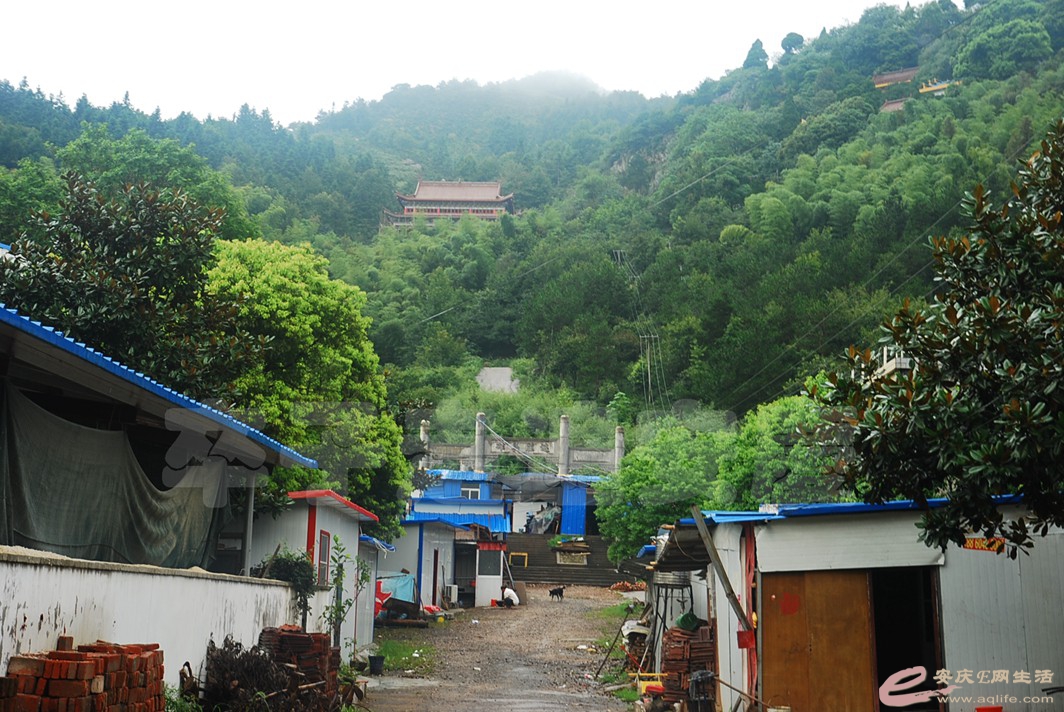 DSC_7494.jpg