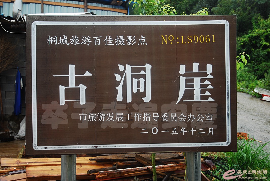 DSC_7495.jpg