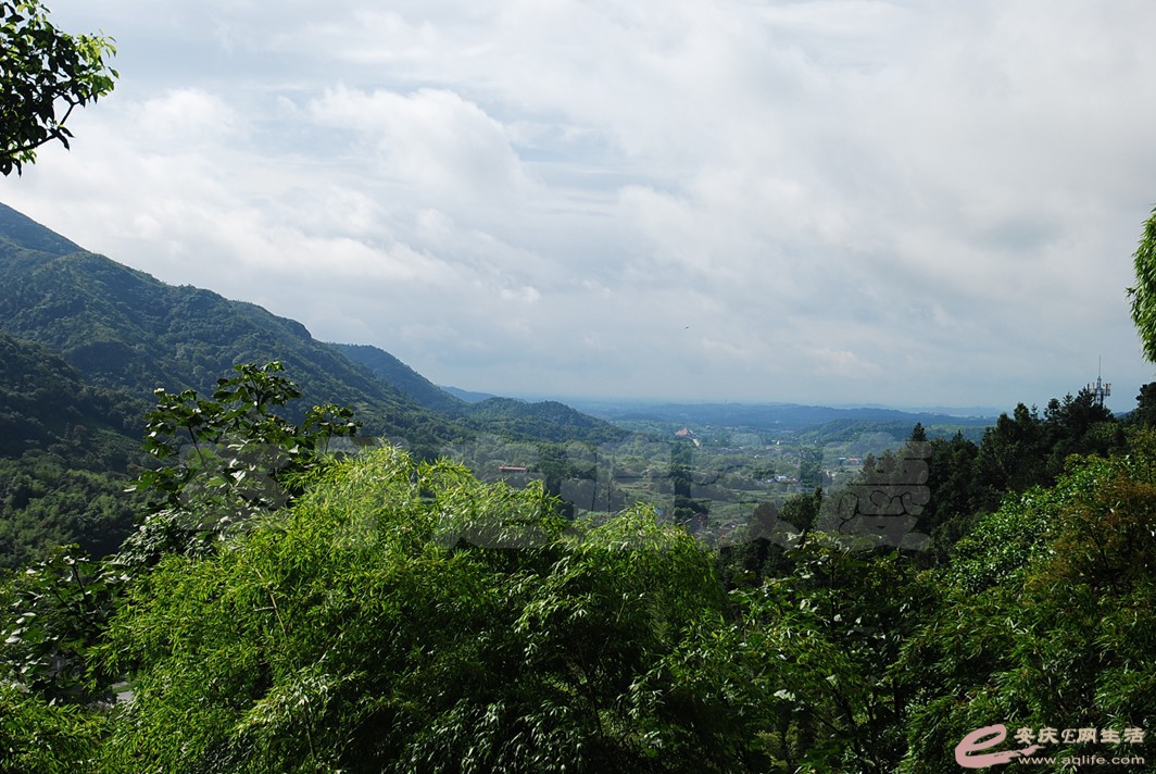 DSC_7529.jpg