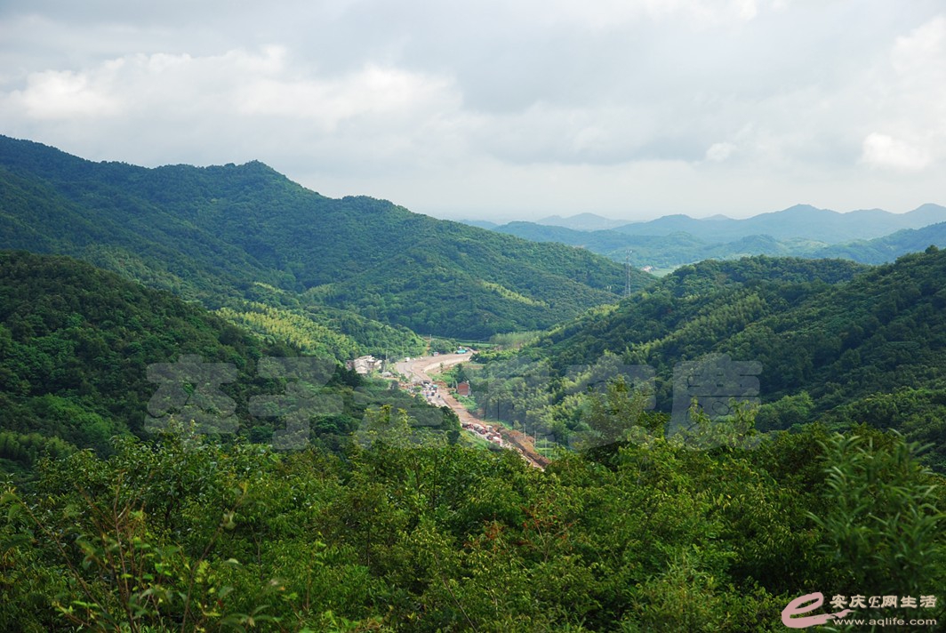 DSC_7607.jpg