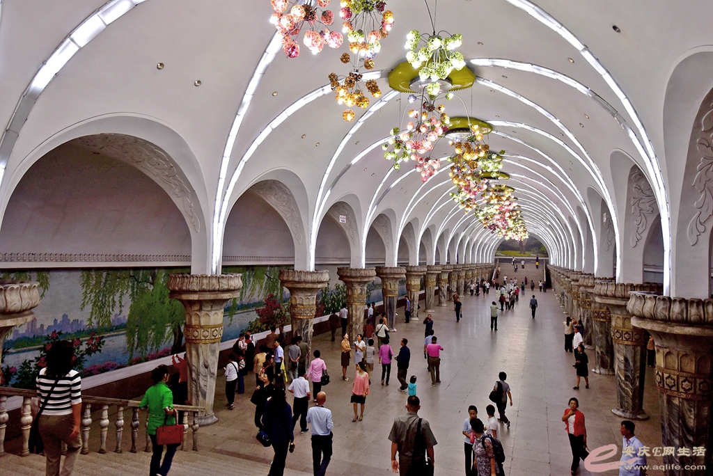 D75_4019__.jpg