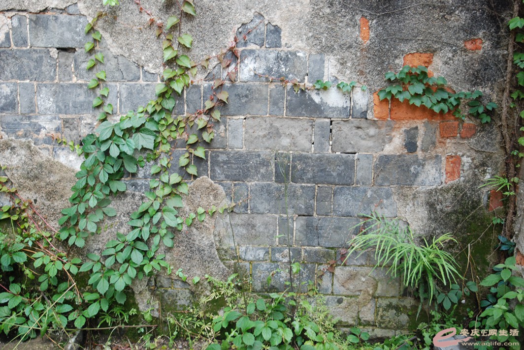 DSC_3802.jpg