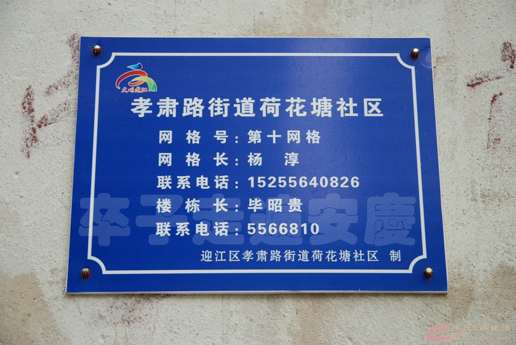 DSC_3880.jpg
