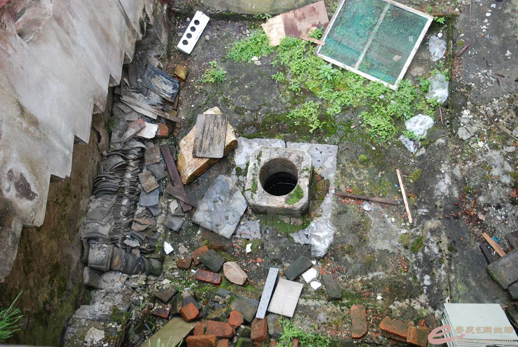 DSC_3881.jpg