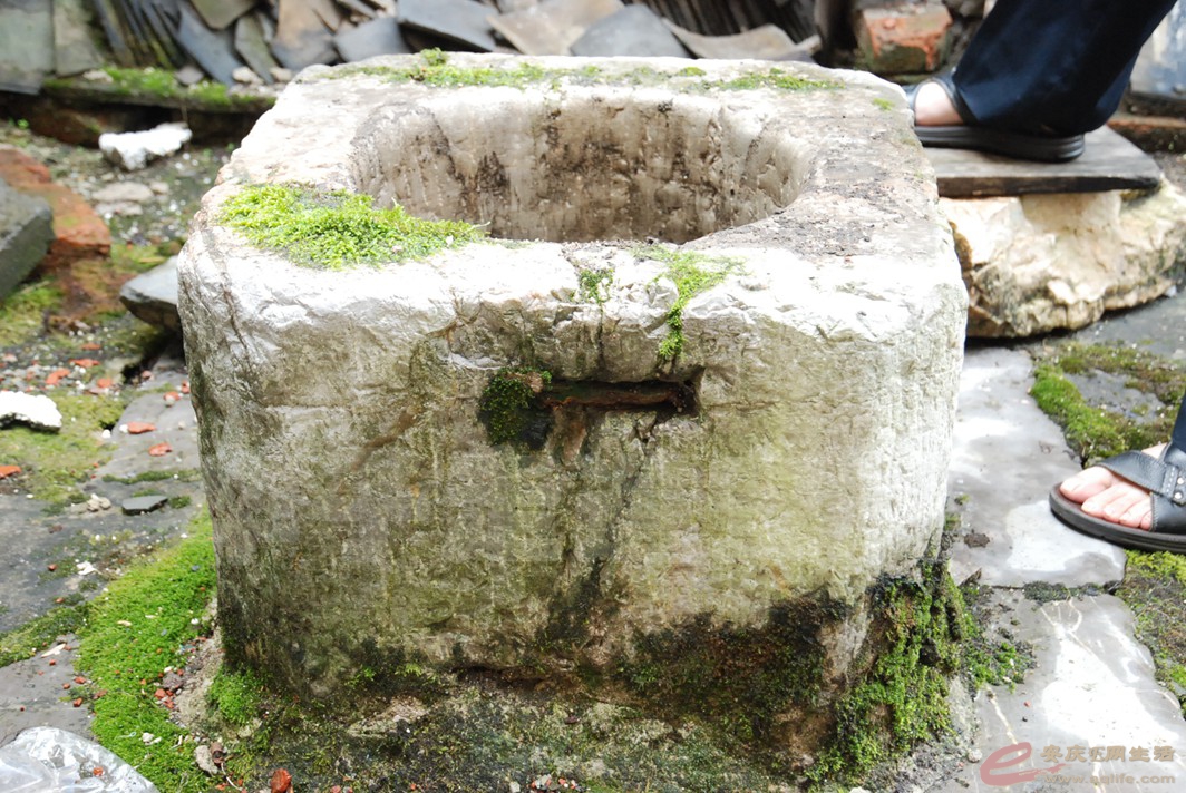 DSC_3882.jpg