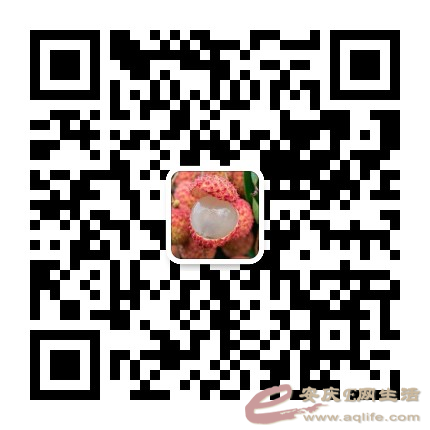 mmqrcode1656405176108.png