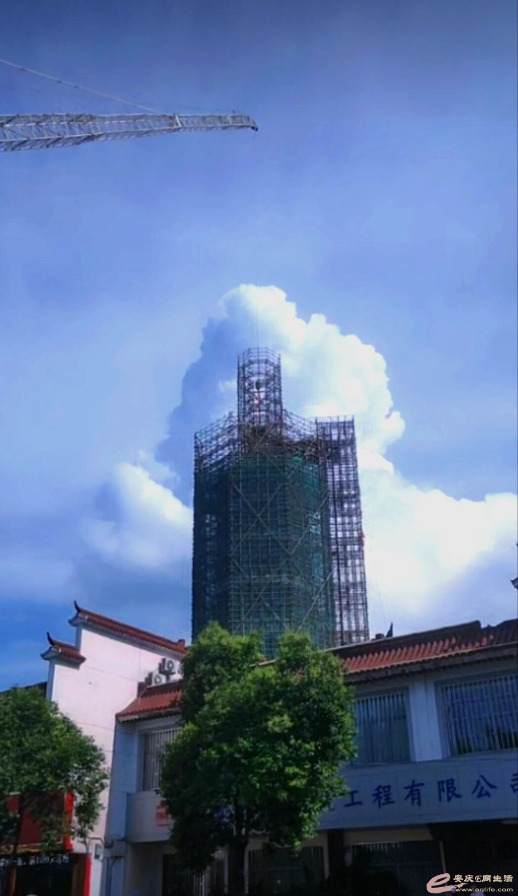 QQͼƬ20220702104842.jpg