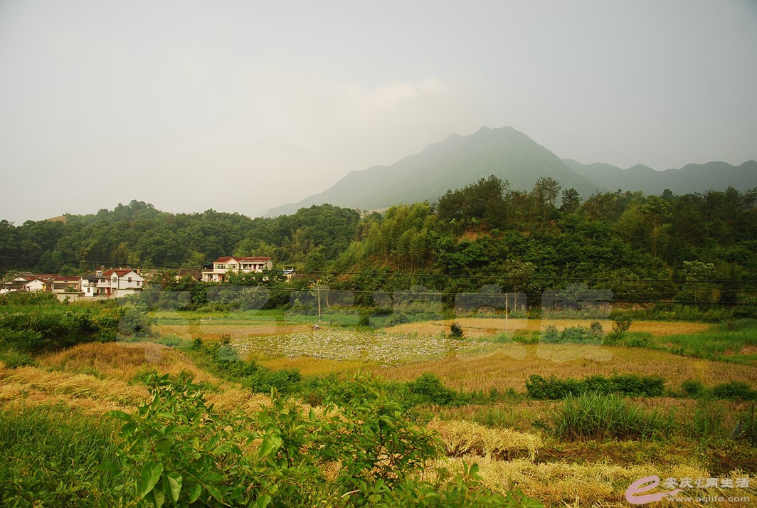 DSC_6851.jpg