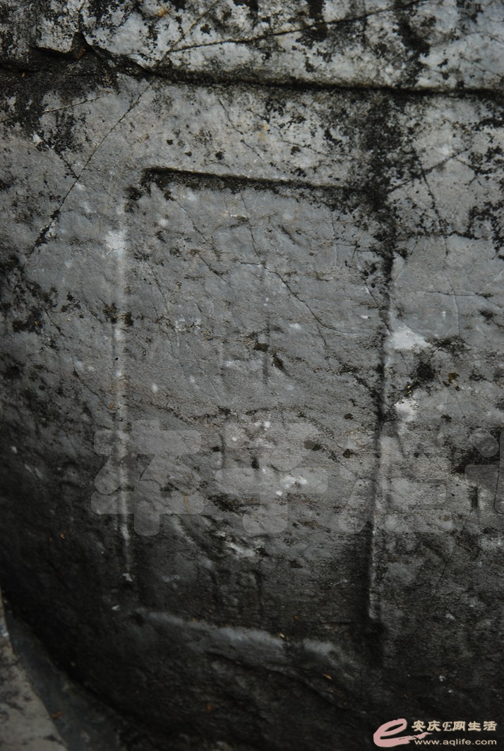 DSC_6866.jpg