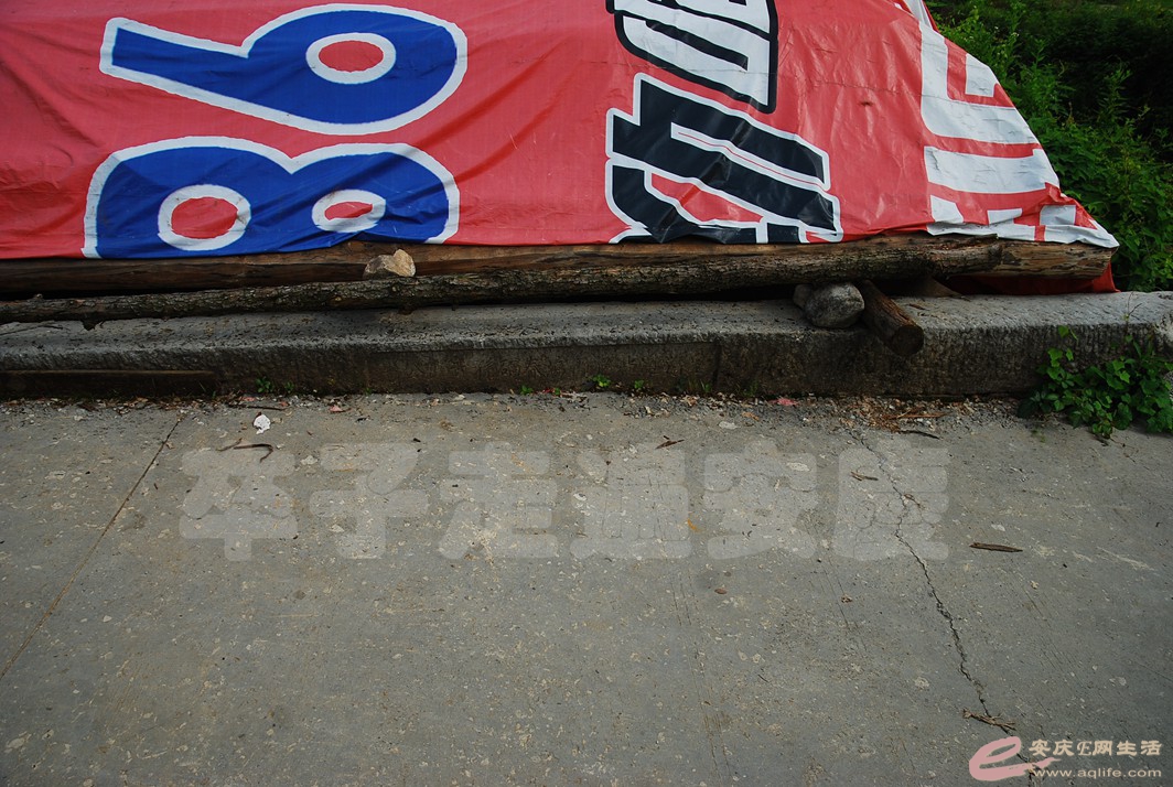 DSC_6895.jpg