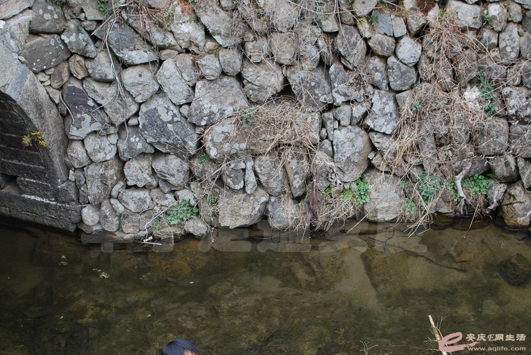 DSC_9856.jpg