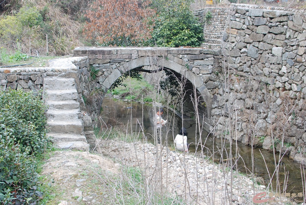DSC_9860.jpg