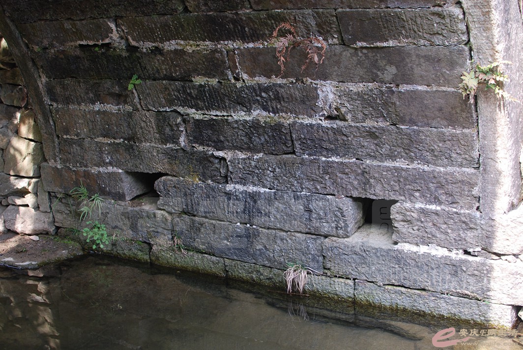 DSC_9873.jpg