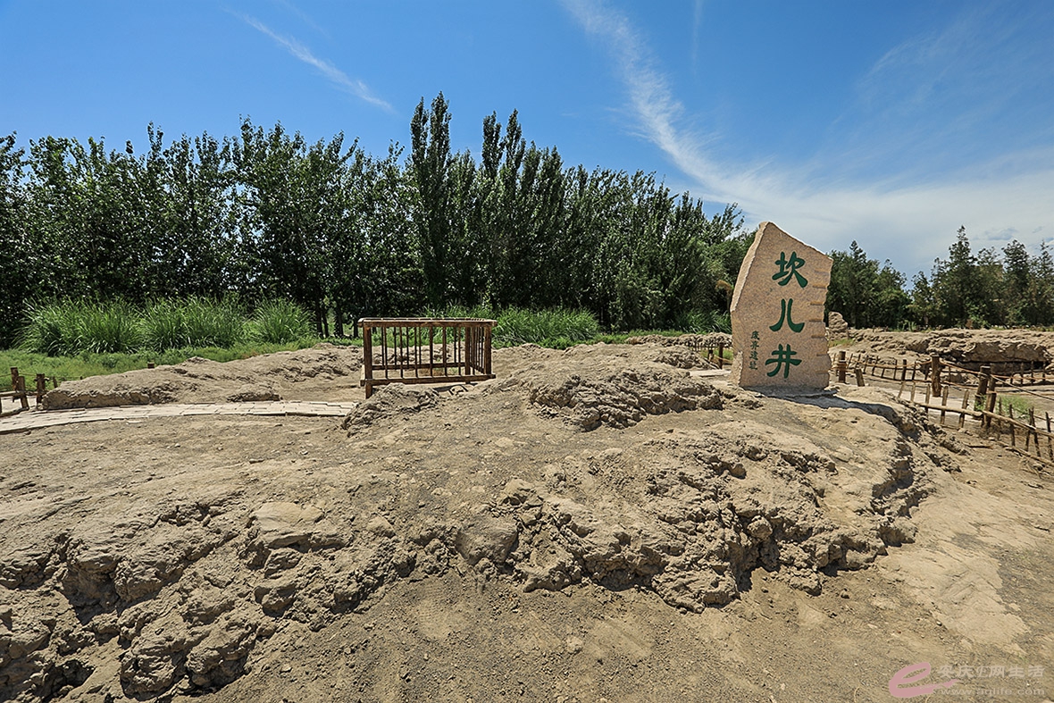 ZLGL5452.jpg