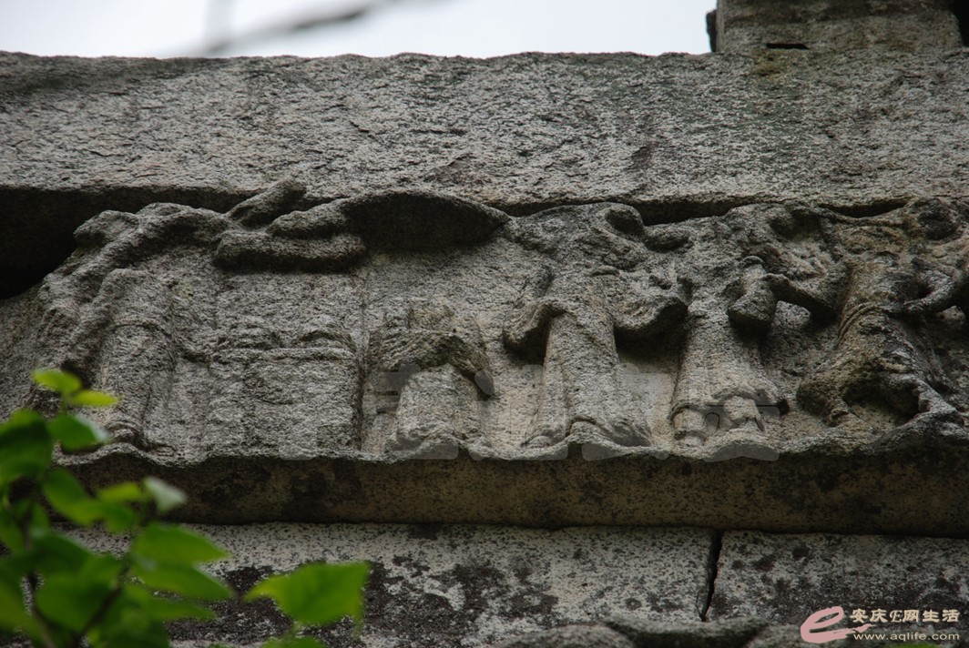 DSC_3510.jpg