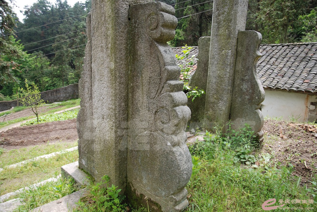 DSC_3522.jpg
