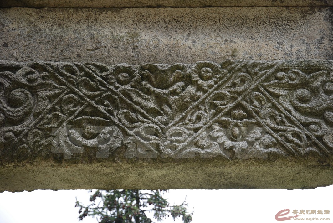 DSC_3535.jpg