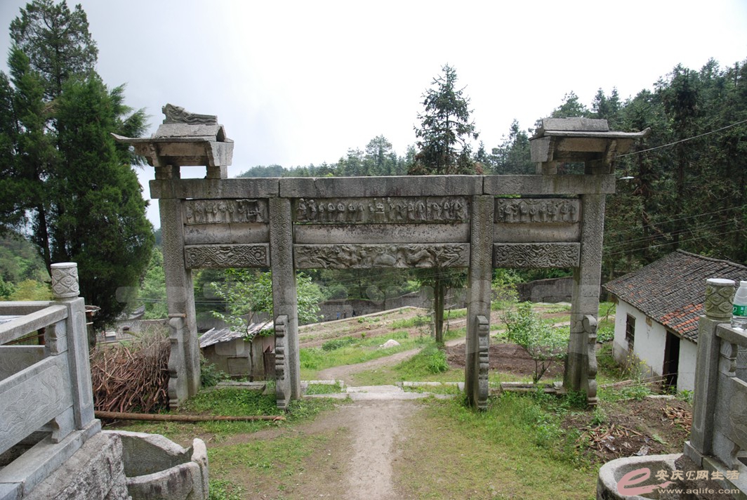 DSC_3543.jpg