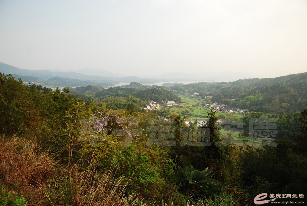 DSC_2892.jpg