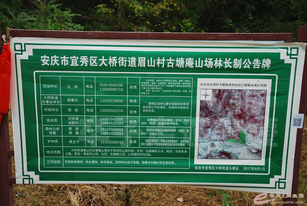 DSC_1279.jpg