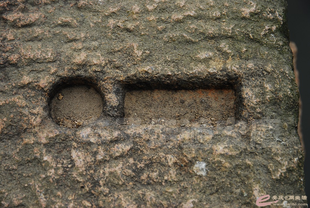 DSC_1288.jpg