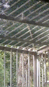 ug05c557.gif