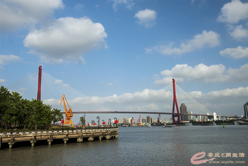 D81_3119.jpg