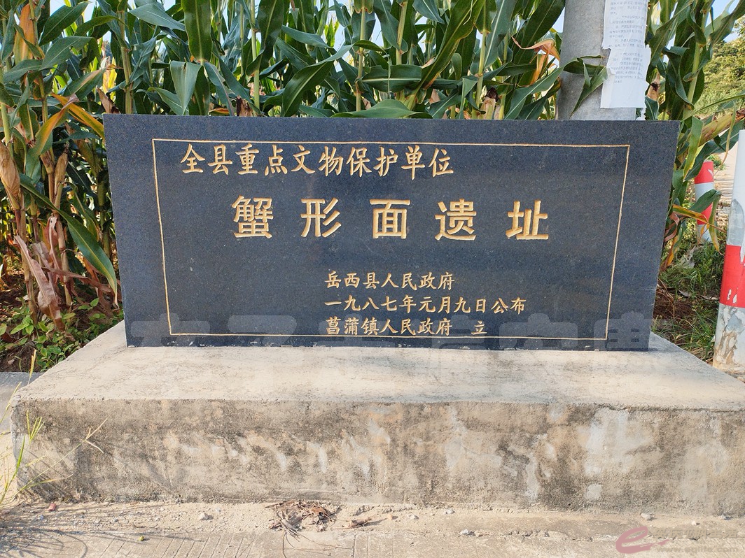 IMG_20220726_165835.jpg