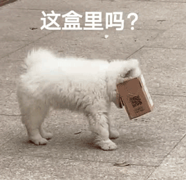 ug0a420d.gif