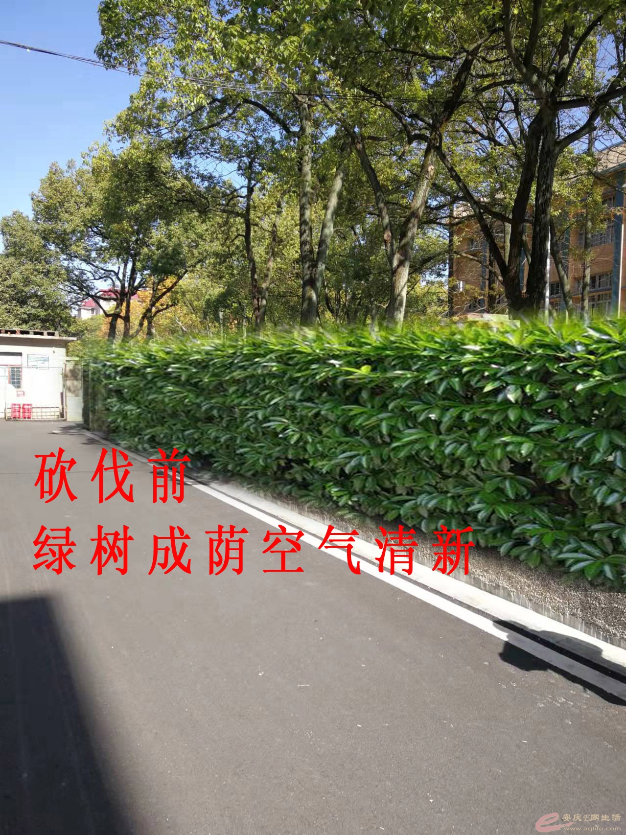 ǰ.jpg