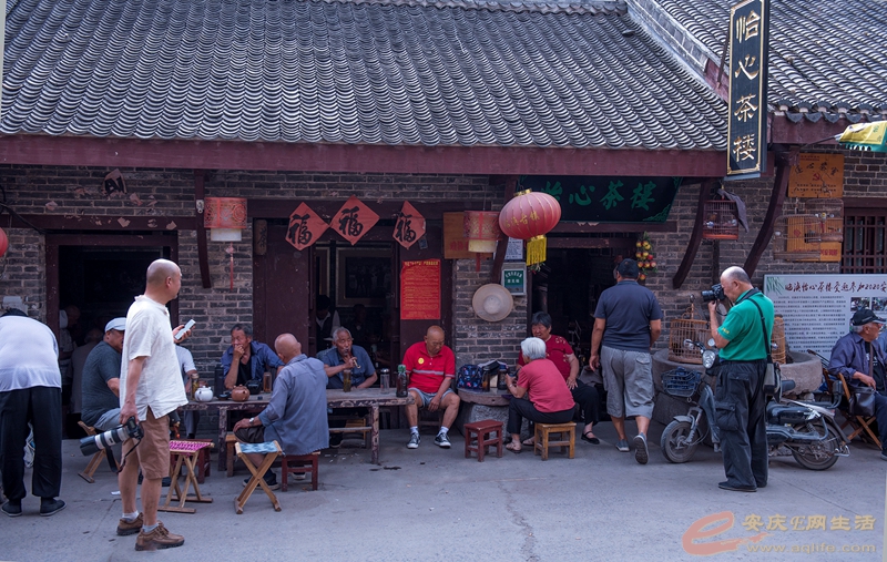 D75_0684_.jpg