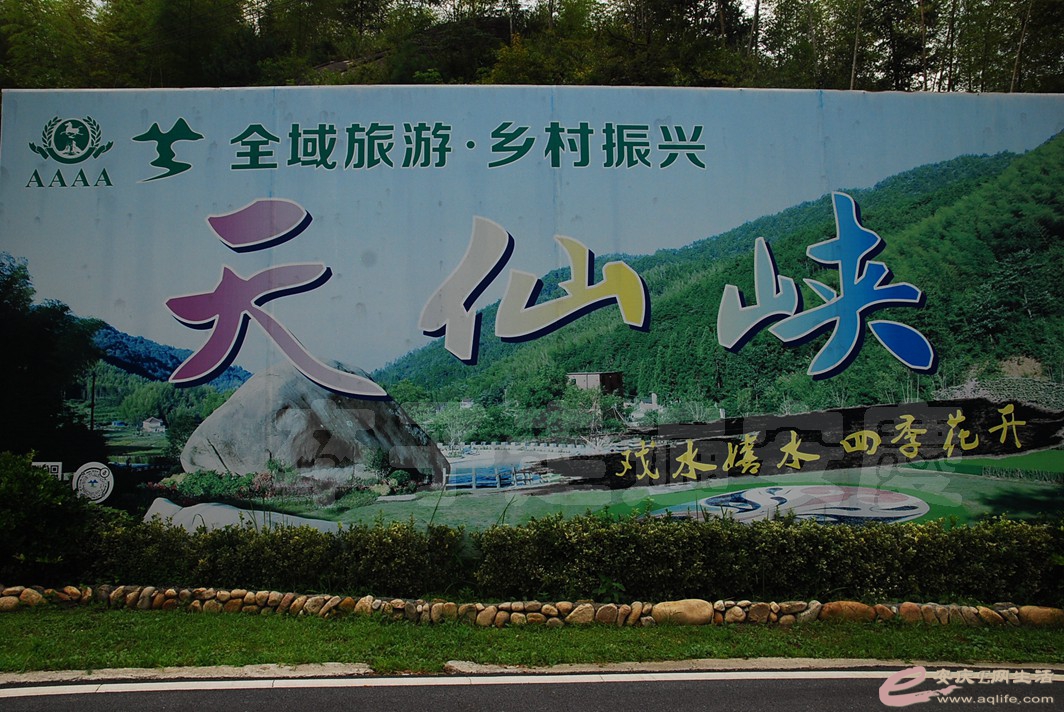 DSC_1724.jpg