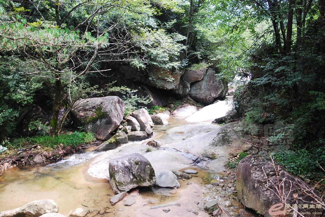DSC_1929.jpg