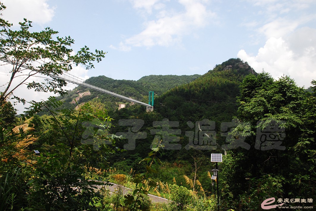 DSC_1967.jpg
