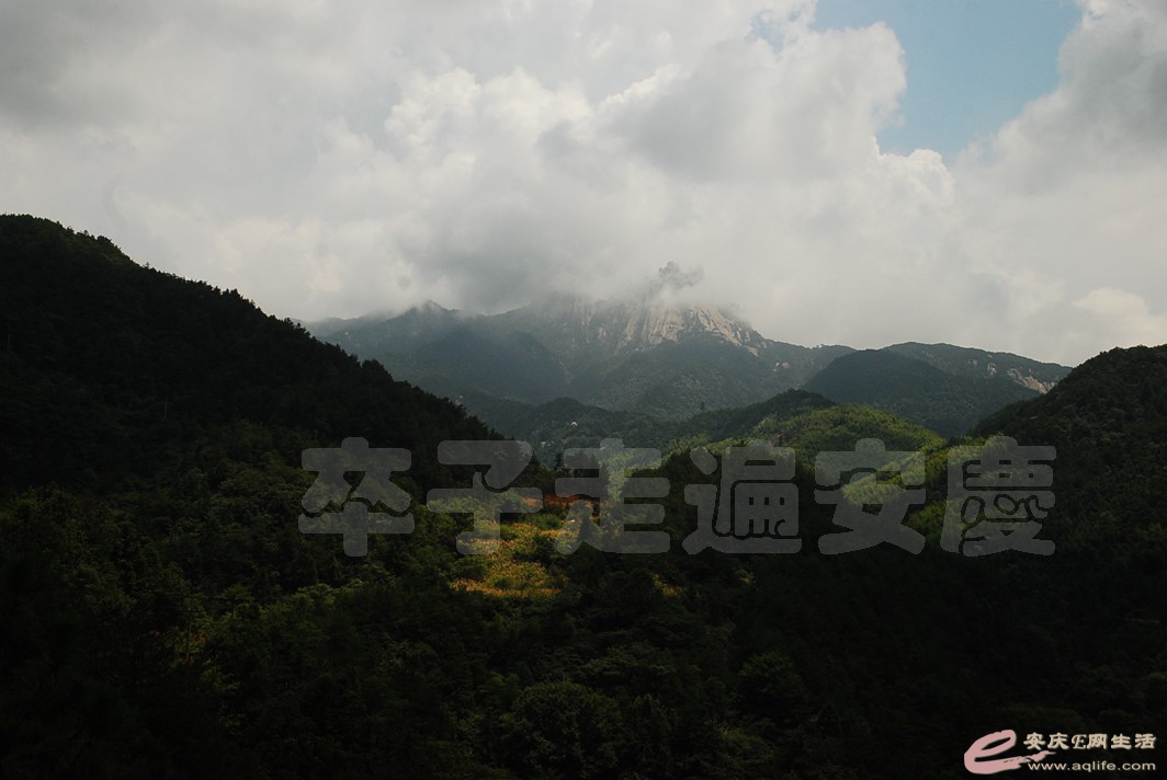 DSC_2015.jpg