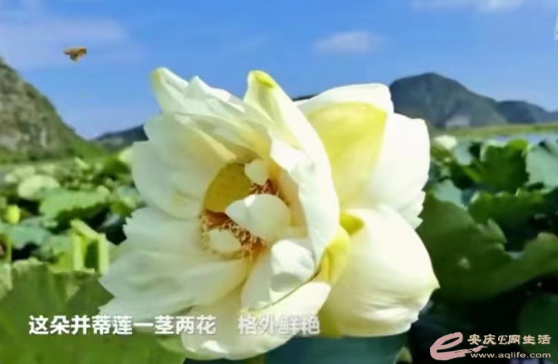 ΢ͼƬ_20220804170754.jpg