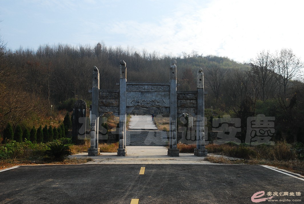 DSC_1286.jpg